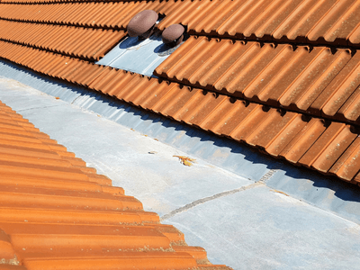 About Leaking Skylight Repair Pros McFall, MO